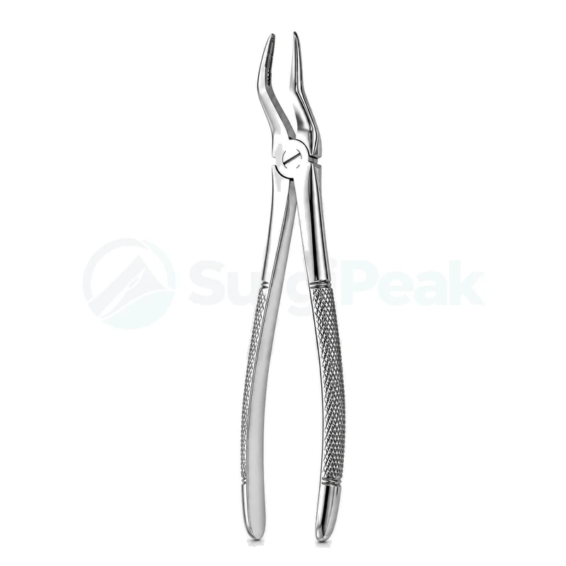 Bayonet Forceps Maxillary Upper Root