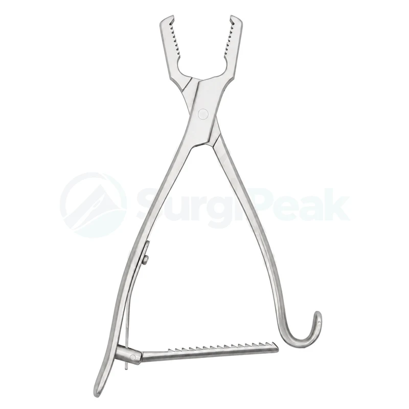 Kern Bone Holding Forceps