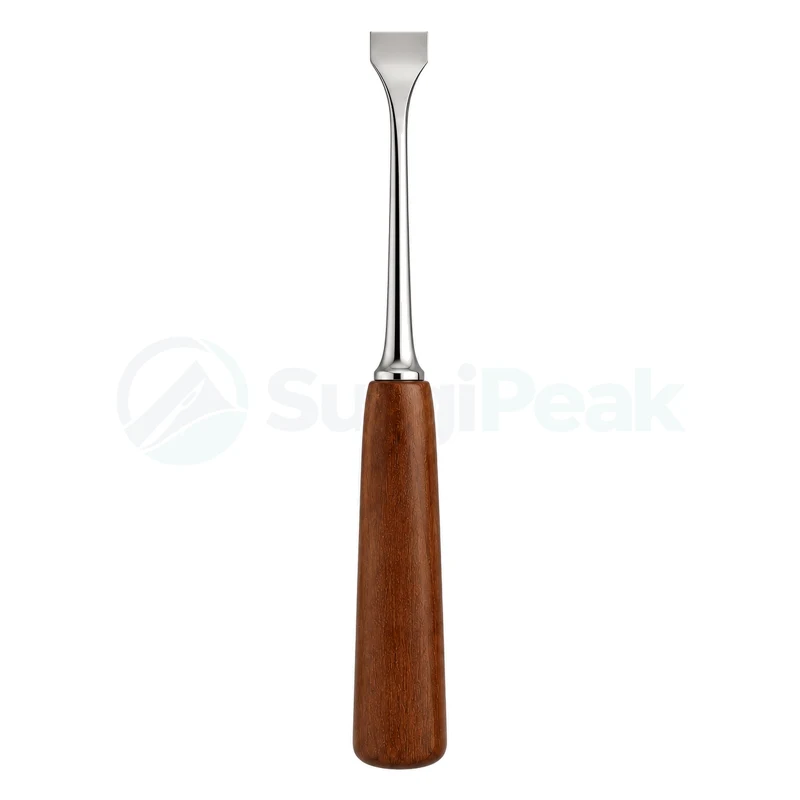 Lexer Bone Instrument
