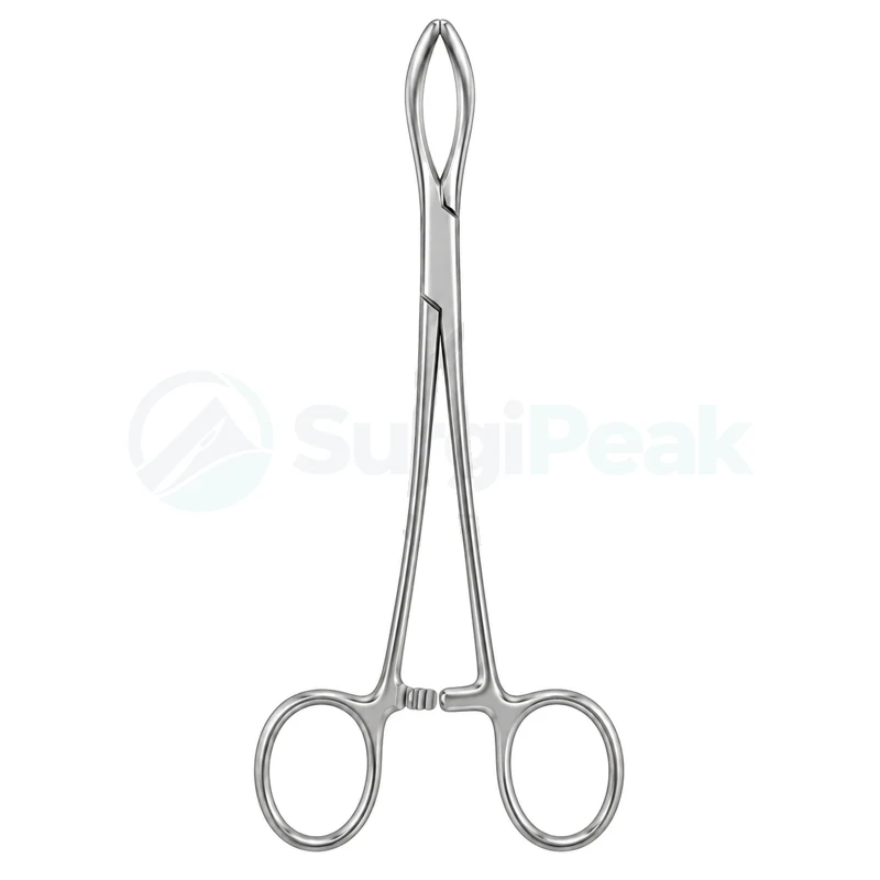 Littlewood Tissue Forceps 18.5cm & 23cm
