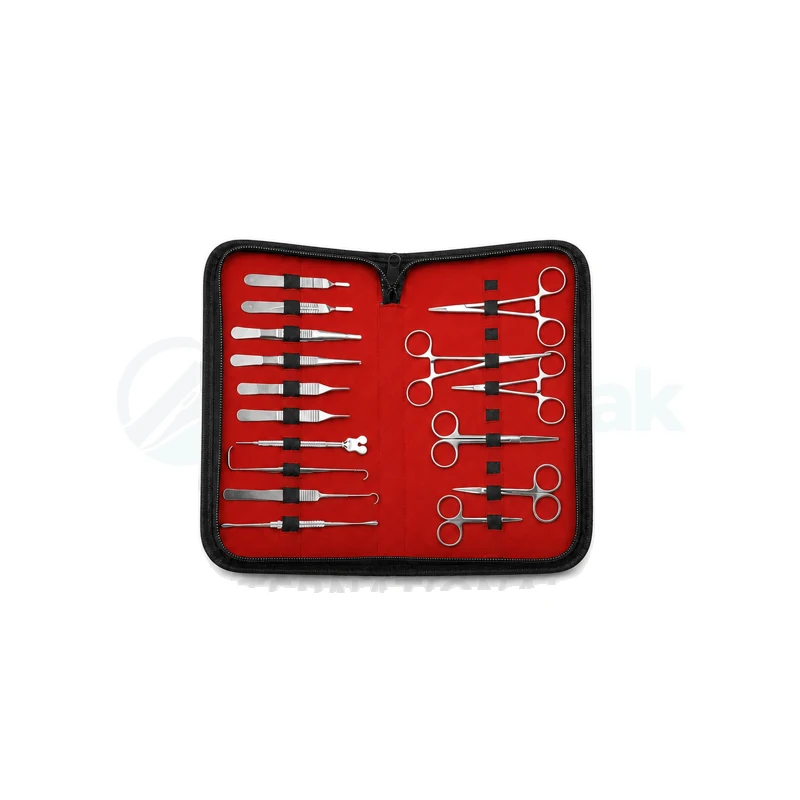 Mini Surgical Kit