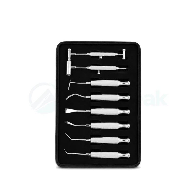 Oral Surgical Instruments Kit (8-Piece)