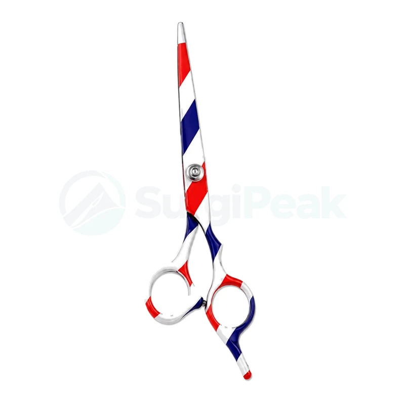 Professional Hair Cutting Scissors 6.5 Inch