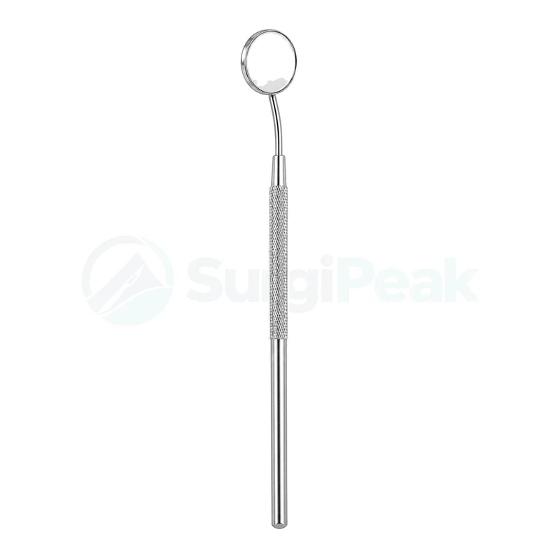Professional Stainless Steel Dental Mirror