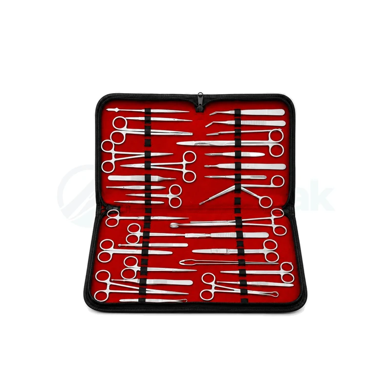 Surgical Instruments Best Quality Kit