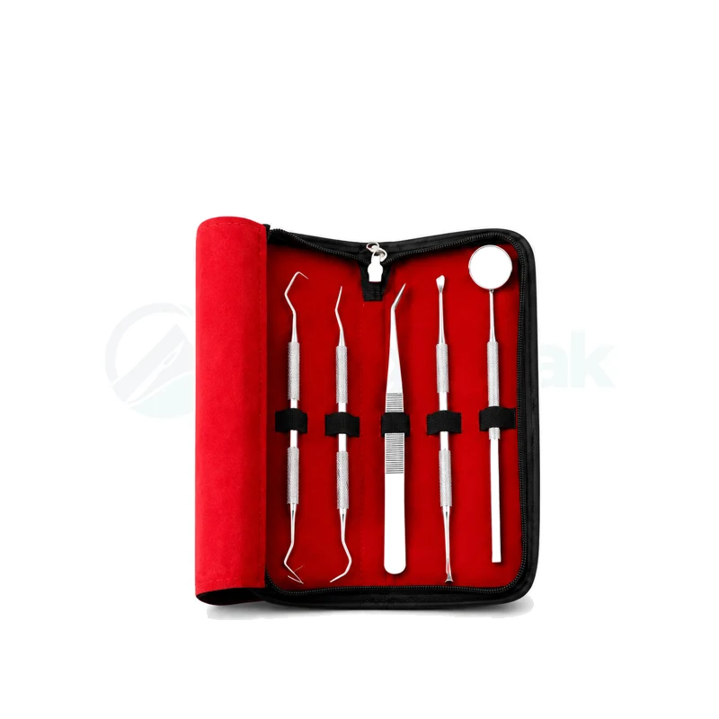 Surgical Instruments Kit (6-Piece)