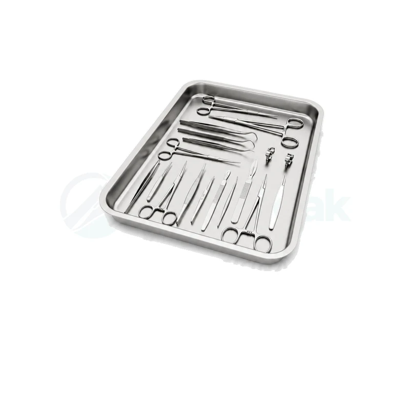 Surgical Surgery Tools Stainless Steel Tray Set